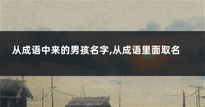 从成语中来的男孩名字,从成语里面取名