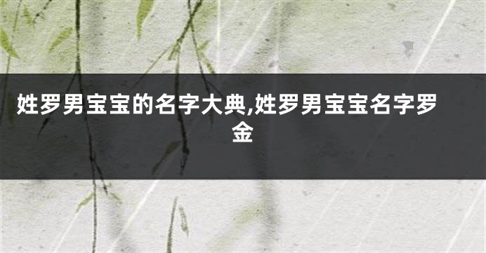 姓罗男宝宝的名字大典,姓罗男宝宝名字罗金