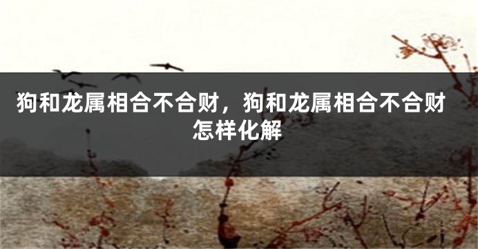 狗和龙属相合不合财，狗和龙属相合不合财怎样化解