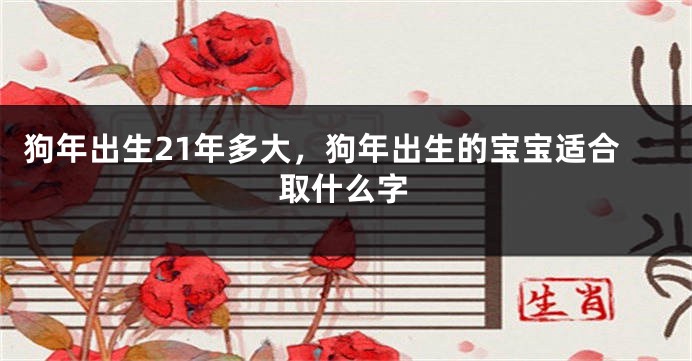 狗年出生21年多大，狗年出生的宝宝适合取什么字