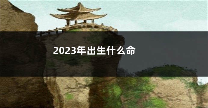 2023年出生什么命