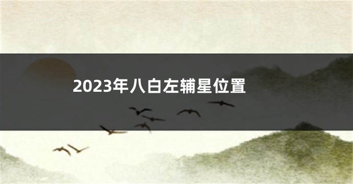 2023年八白左辅星位置