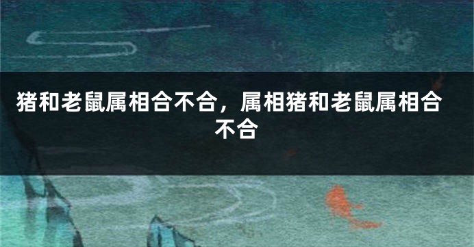 猪和老鼠属相合不合，属相猪和老鼠属相合不合