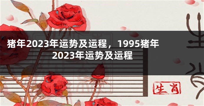 猪年2023年运势及运程，1995猪年2023年运势及运程