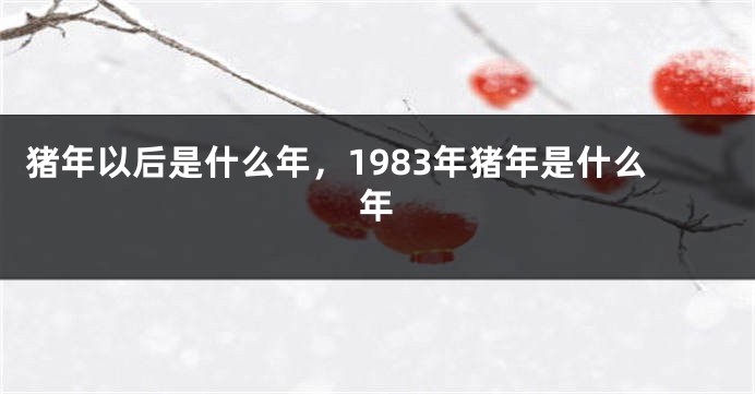 猪年以后是什么年，1983年猪年是什么年