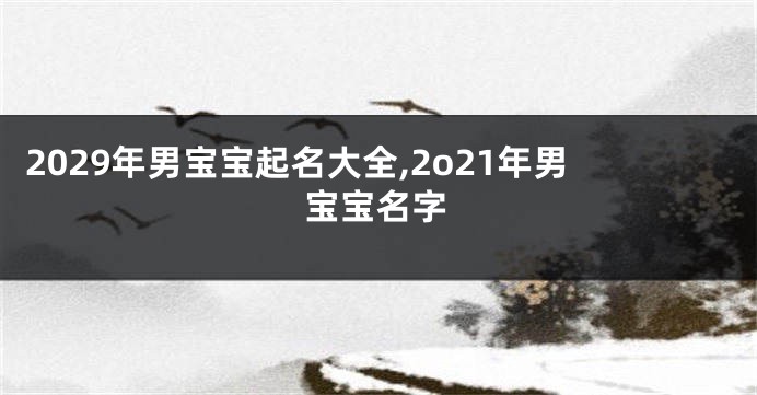 2029年男宝宝起名大全,2o21年男宝宝名字