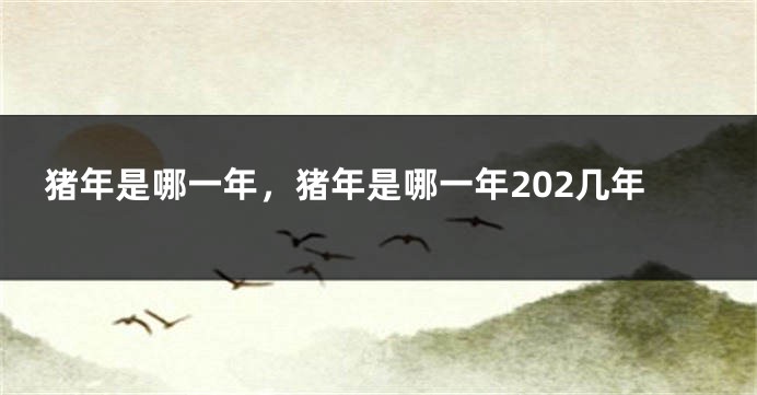 猪年是哪一年，猪年是哪一年202几年