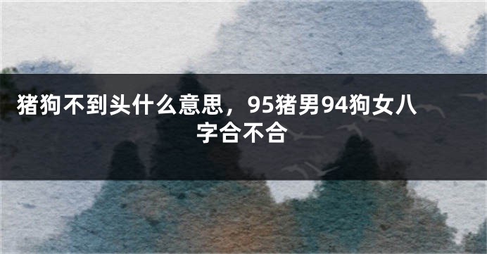 猪狗不到头什么意思，95猪男94狗女八字合不合