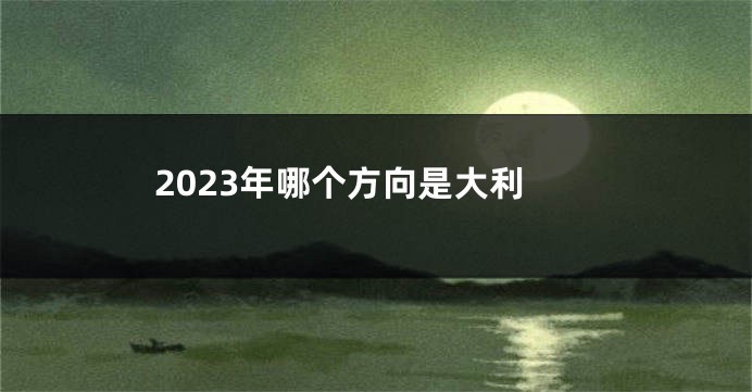 2023年哪个方向是大利