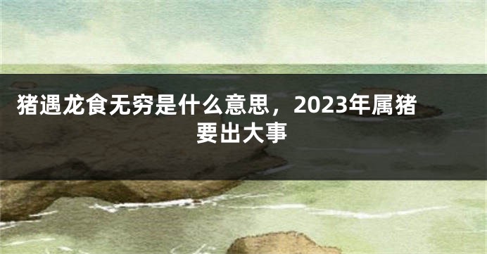 猪遇龙食无穷是什么意思，2023年属猪要出大事