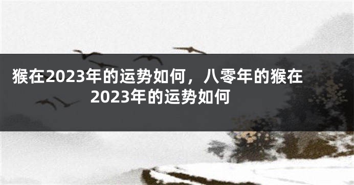 猴在2023年的运势如何，八零年的猴在2023年的运势如何