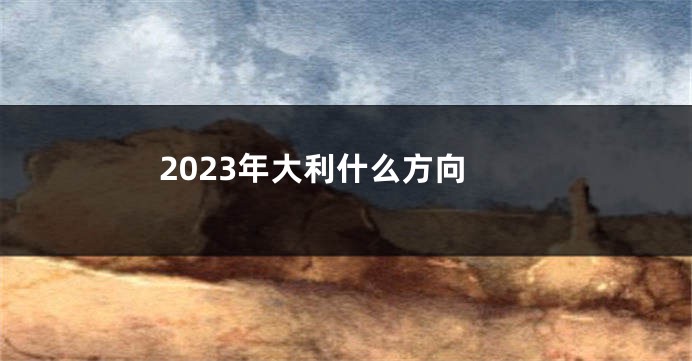 2023年大利什么方向