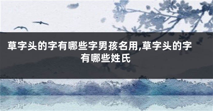 草字头的字有哪些字男孩名用,草字头的字有哪些姓氏