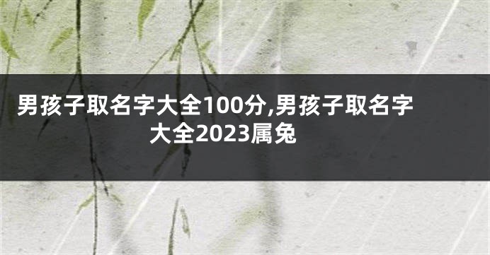 男孩子取名字大全100分,男孩子取名字大全2023属兔