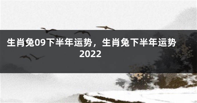 生肖兔09下半年运势，生肖兔下半年运势2022