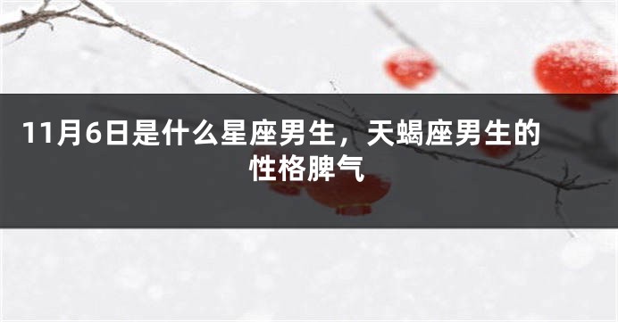 11月6日是什么星座男生，天蝎座男生的性格脾气