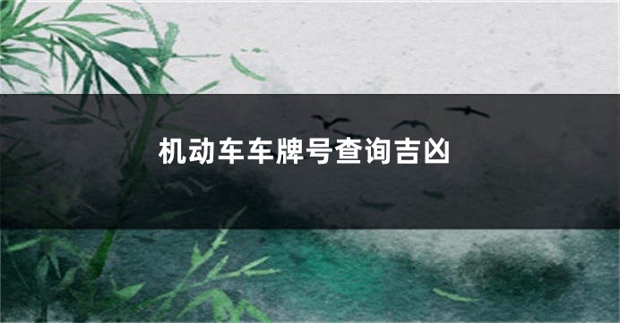 机动车车牌号查询吉凶