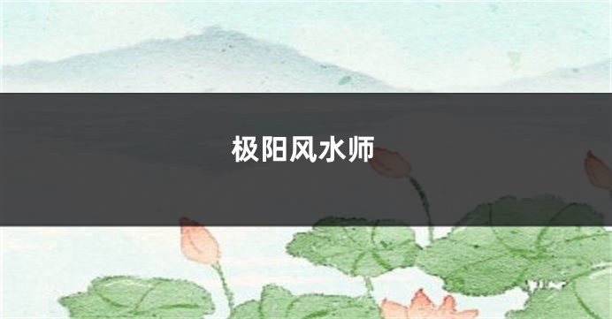 极阳风水师