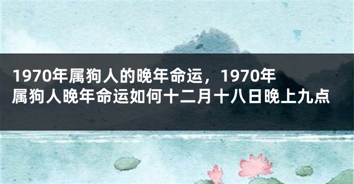 1970年属狗人的晚年命运，1970年属狗人晚年命运如何十二月十八日晚上九点