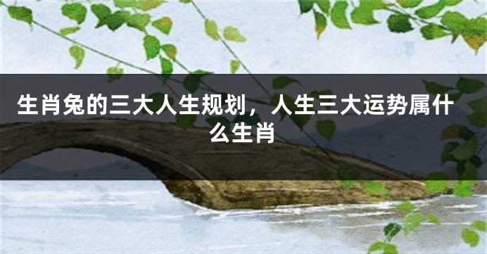 生肖兔的三大人生规划，人生三大运势属什么生肖