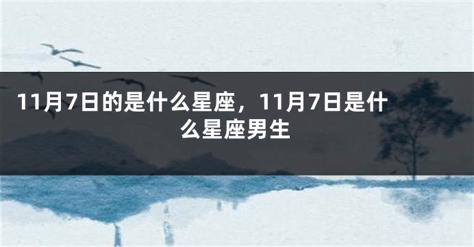 11月7日的是什么星座，11月7日是什么星座男生