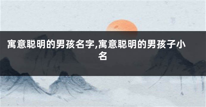 寓意聪明的男孩名字,寓意聪明的男孩子小名