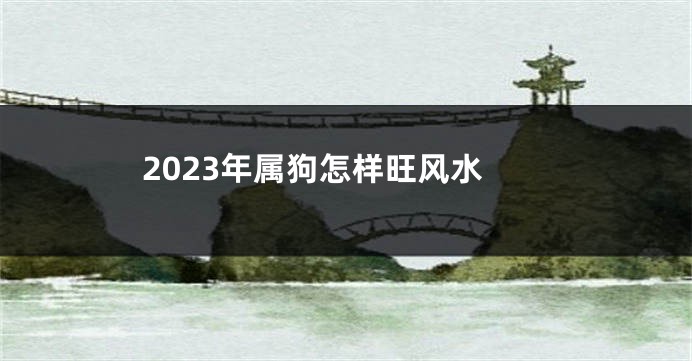 2023年属狗怎样旺风水