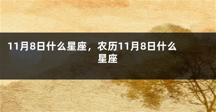 11月8日什么星座，农历11月8日什么星座