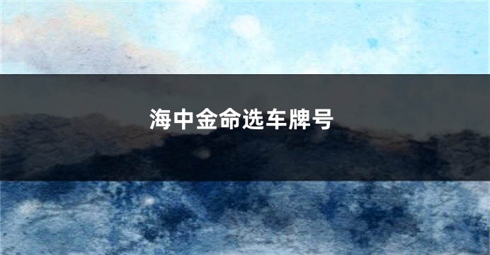 海中金命选车牌号