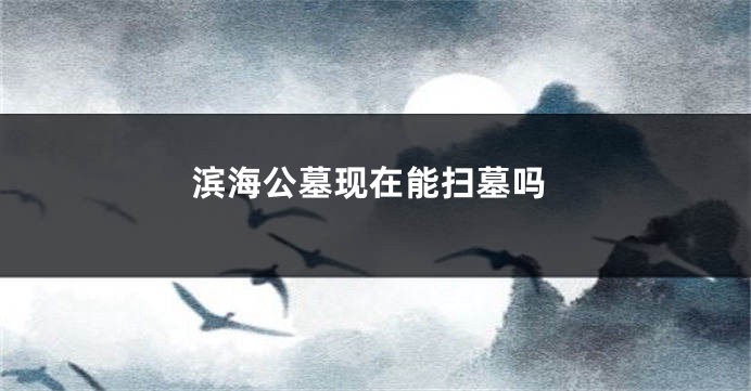 滨海公墓现在能扫墓吗