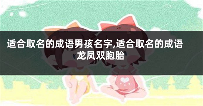 适合取名的成语男孩名字,适合取名的成语龙凤双胞胎