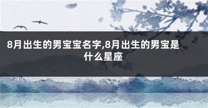 8月出生的男宝宝名字,8月出生的男宝是什么星座