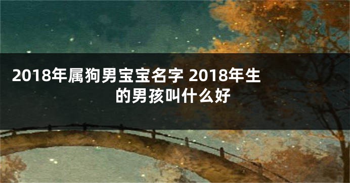 2018年属狗男宝宝名字 2018年生的男孩叫什么好