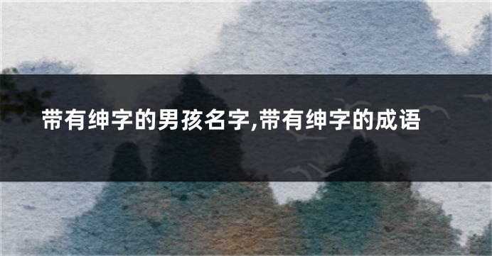 带有绅字的男孩名字,带有绅字的成语