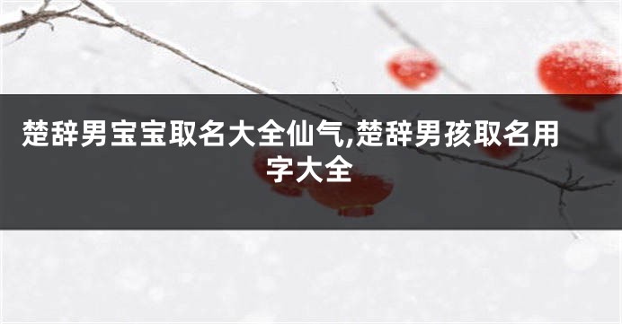 楚辞男宝宝取名大全仙气,楚辞男孩取名用字大全