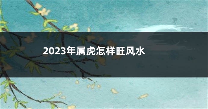 2023年属虎怎样旺风水