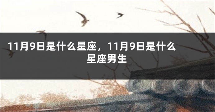 11月9日是什么星座，11月9日是什么星座男生