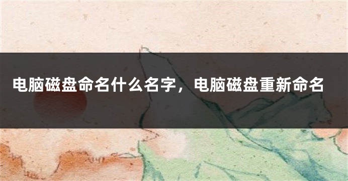 电脑磁盘命名什么名字，电脑磁盘重新命名