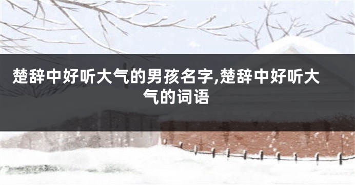 楚辞中好听大气的男孩名字,楚辞中好听大气的词语