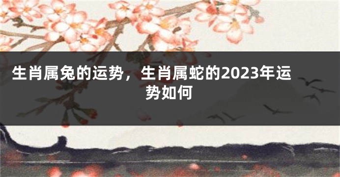 生肖属兔的运势，生肖属蛇的2023年运势如何