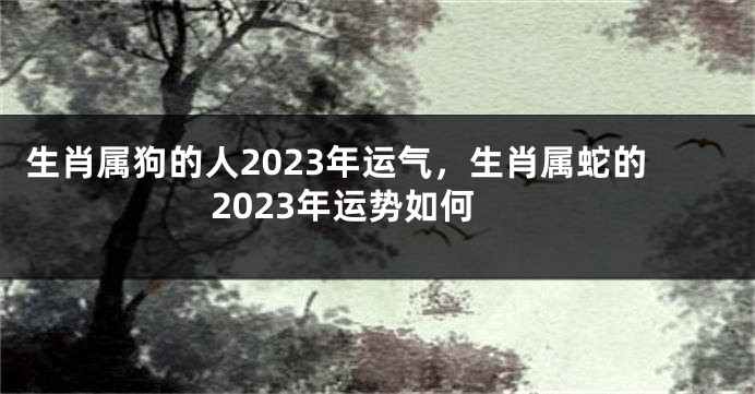 生肖属狗的人2023年运气，生肖属蛇的2023年运势如何