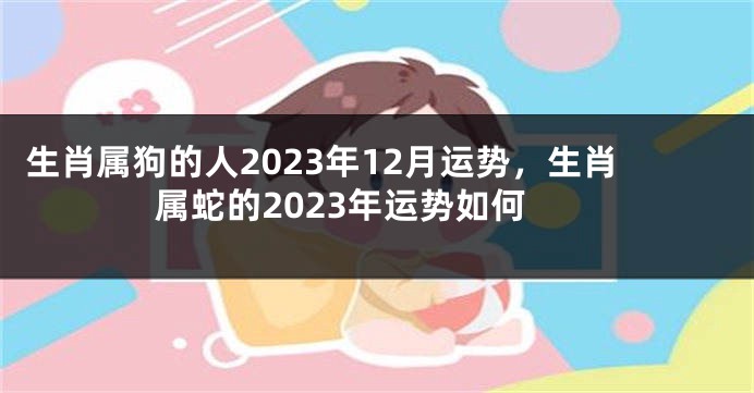 生肖属狗的人2023年12月运势，生肖属蛇的2023年运势如何