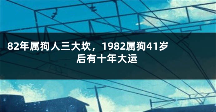 82年属狗人三大坎，1982属狗41岁后有十年大运