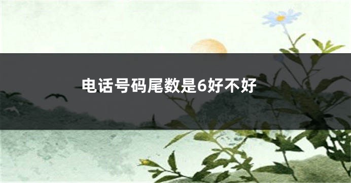 电话号码尾数是6好不好