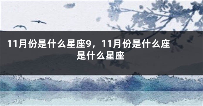 11月份是什么星座9，11月份是什么座是什么星座