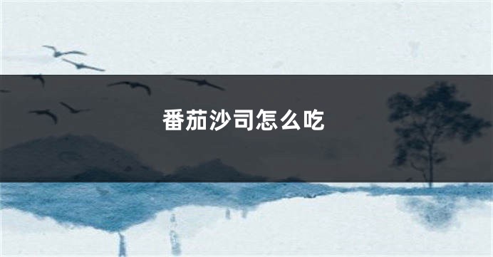 番茄沙司怎么吃