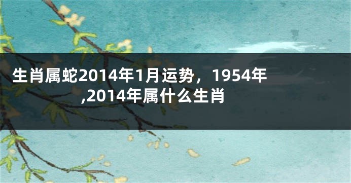 生肖属蛇2014年1月运势，1954年,2014年属什么生肖