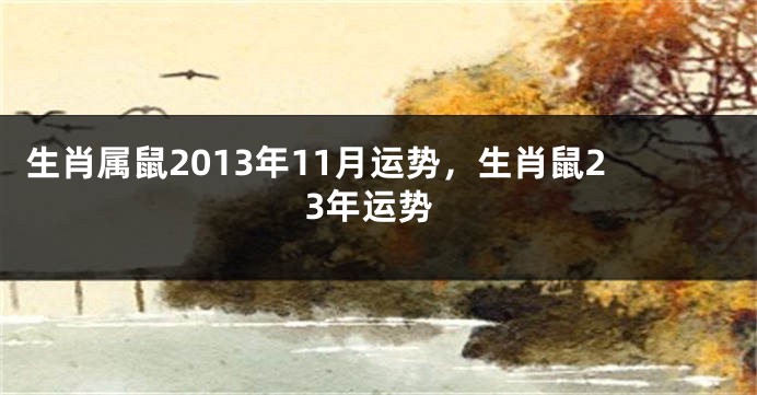 生肖属鼠2013年11月运势，生肖鼠23年运势