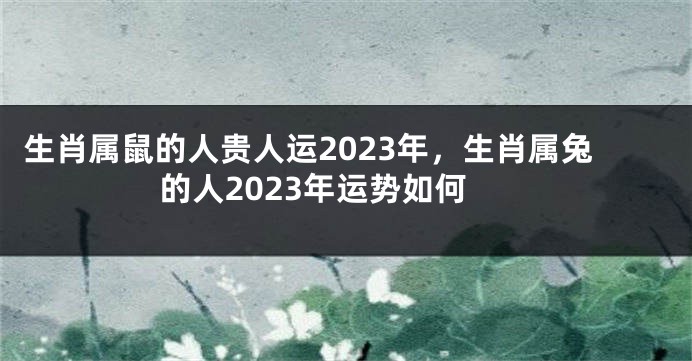 生肖属鼠的人贵人运2023年，生肖属兔的人2023年运势如何