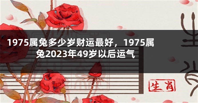 1975属兔多少岁财运最好，1975属兔2023年49岁以后运气